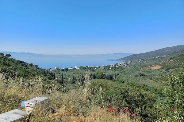 Narlı Sitesi - Resim 2