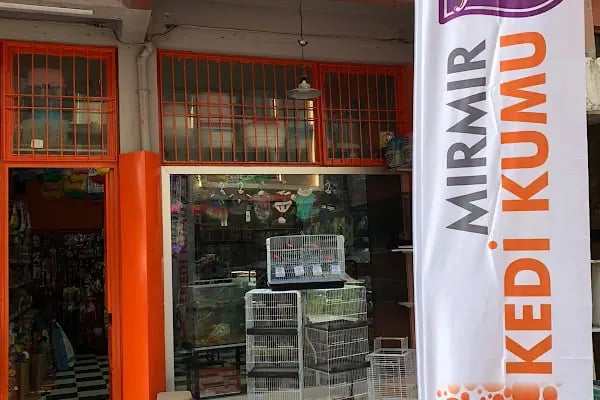 Afra Petshop - Resim 8