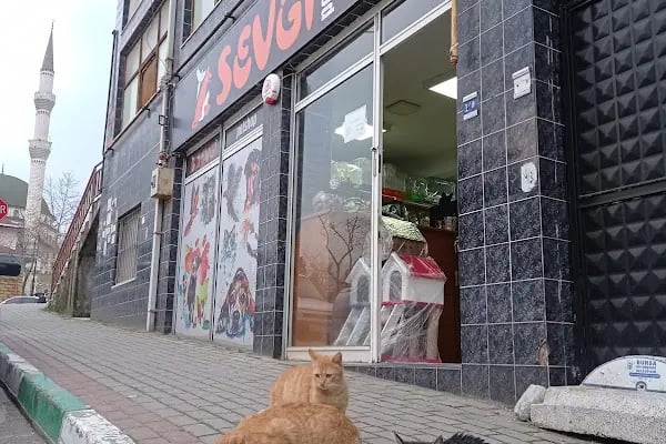 Sevgi Petshop - Resim 10