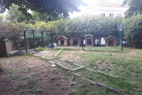 Ataşehir Belediyesi Nazım Hikmet Parkı - Resim 18