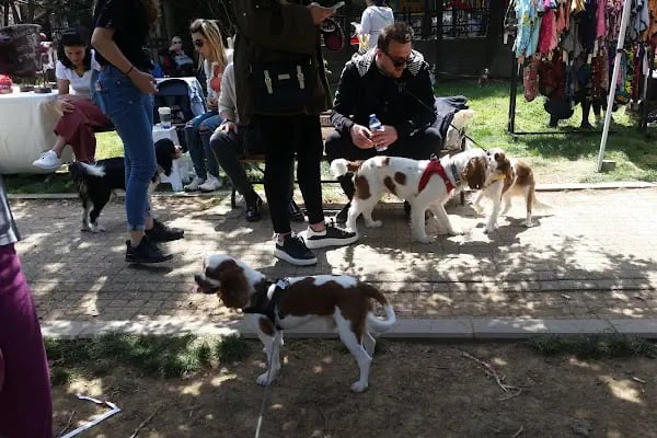 Ataşehir Belediyesi Nazım Hikmet Parkı - Resim 12