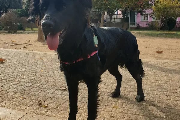 Ataşehir Belediyesi Nazım Hikmet Parkı - Resim 4