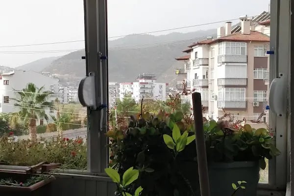 Altın Turunç Sitesi - Resim 3
