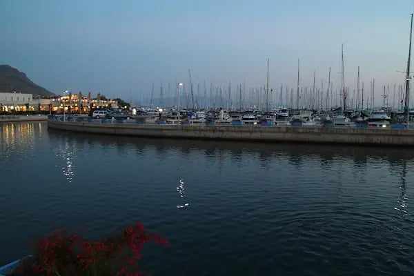 Sirena Marine - Resim 3