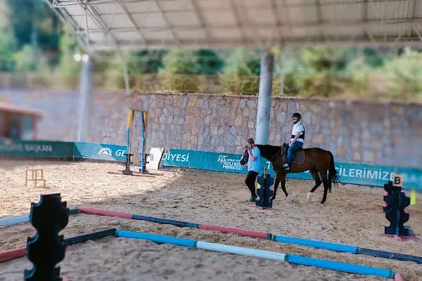Gebze Belediyesi Atlı Eğitim Merkezi - Resim 10