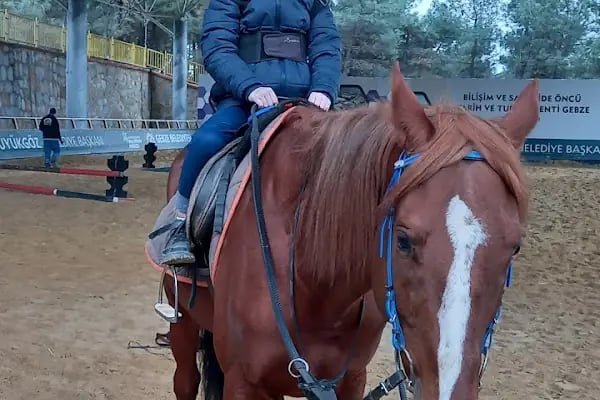 Gebze Belediyesi Atlı Eğitim Merkezi - Resim 16