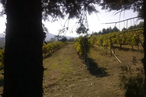 Ptt-ılıca Kaplıcaları Şubesi - Resim 6