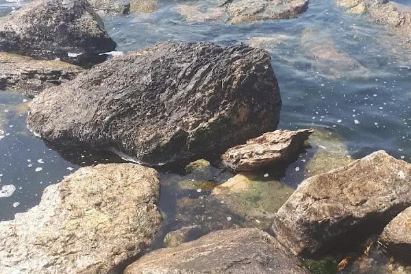 Bayramoğlu Ada Plaj Ve Dinlenme Tesisi - Resim 12