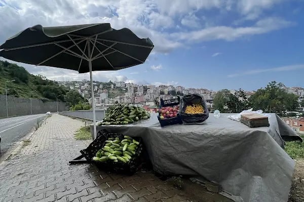 Elmaslar meyve ve sebze çeşitleri - Resim 6