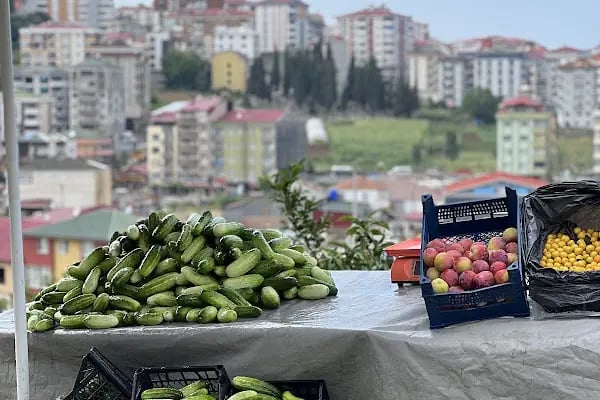 Elmaslar meyve ve sebze çeşitleri - Resim 2