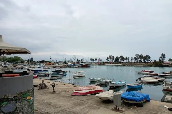 Akçaabat Yelken Kulübü - Resim 5