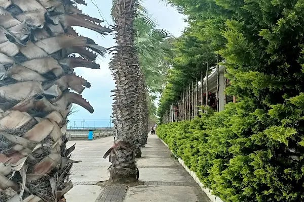 Akçaabat Yelken Kulübü - Resim 6