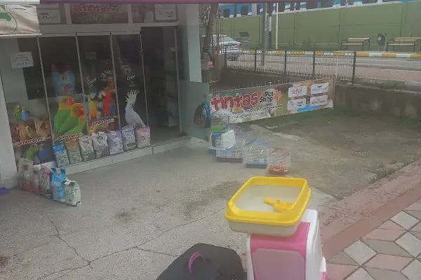 altıntaş petshop - Resim 10