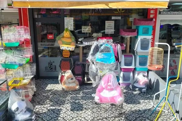altıntaş petshop - Resim 13