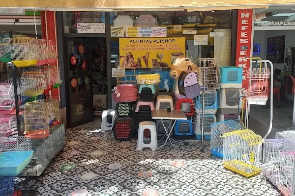 altıntaş petshop - Resim 7