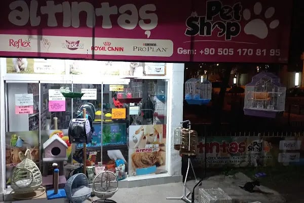 altıntaş petshop - Resim 4