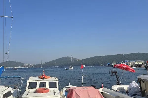 Barba Yani Restaurant - Resim 9