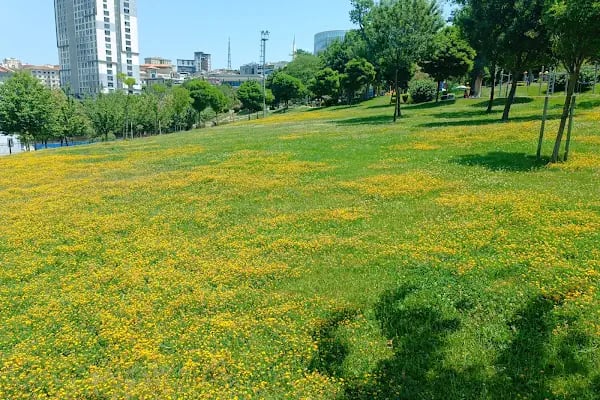 Nurettin ŞEN Parkı - Resim 13