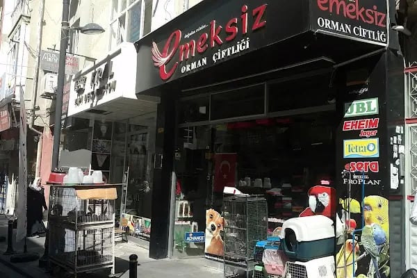Emeksiz Orman Çiftliği - Resim 4