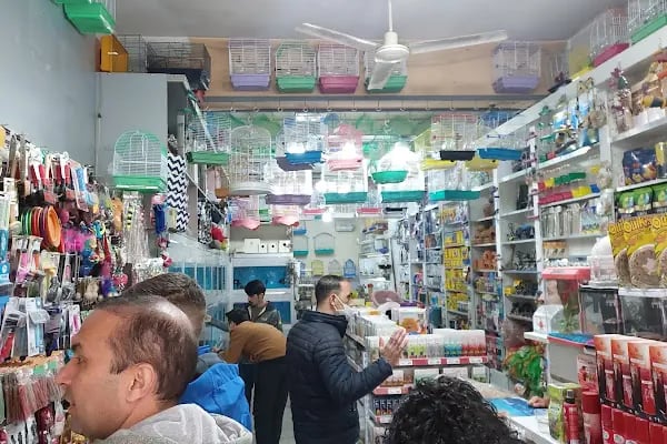 Emeksiz Orman Çiftliği - Resim 11