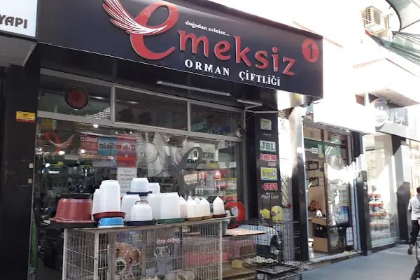 Emeksiz Orman Çiftliği - Resim 15