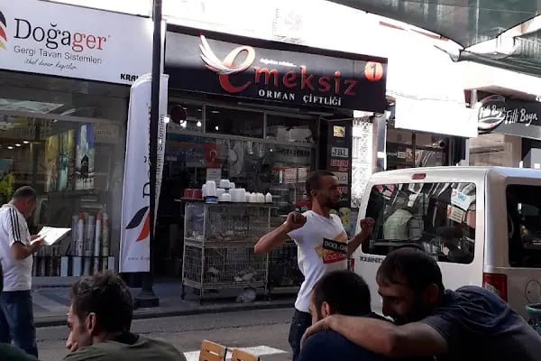 Emeksiz Orman Çiftliği - Resim 6