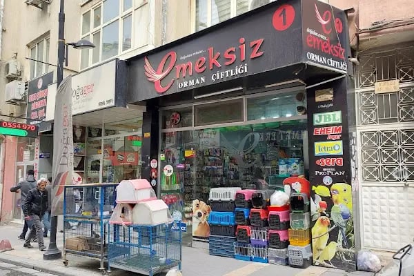 Emeksiz Orman Çiftliği - Resim 1