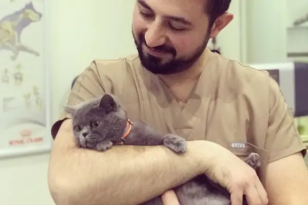 Aura Veteriner Kliniği - Resim 8
