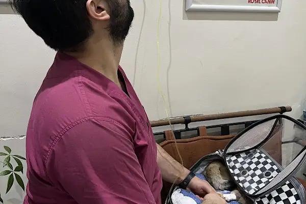 Aura Veteriner Kliniği - Resim 10