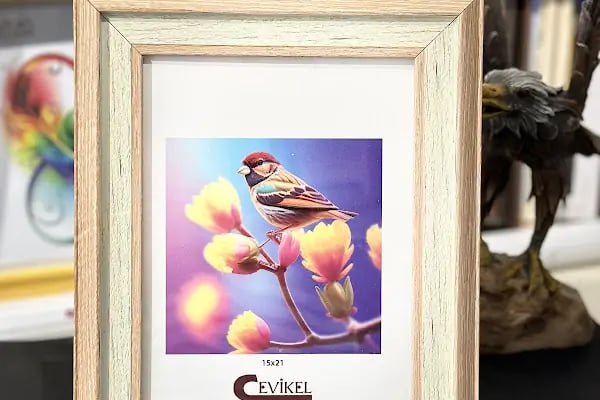 Foto Şahin - Resim 7