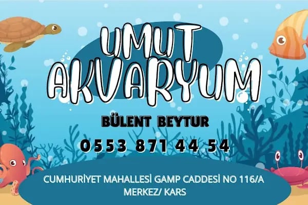 Umut akvaryum - Resim 6