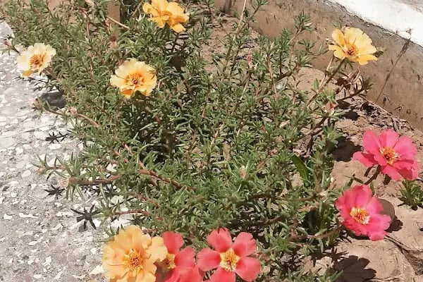 Motel Aydın - Resim 5