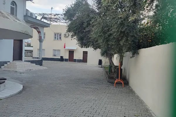 Buğday Cami - Resim 8