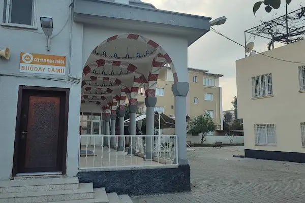 Buğday Cami - Resim 4