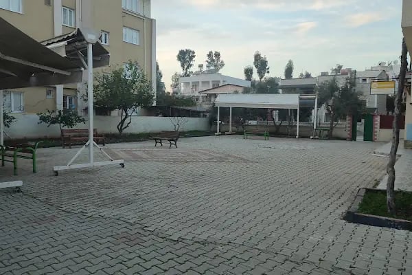 Buğday Cami - Resim 2