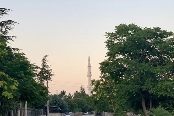Kürden Mahallesi Çocuk Parkı - Resim 4