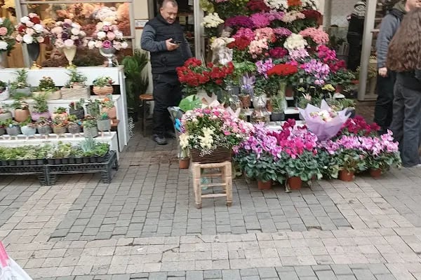 Bursa Kan Bağışı Merkezi - Resim 10