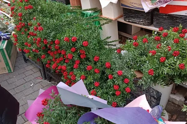 Bursa Kan Bağışı Merkezi - Resim 11
