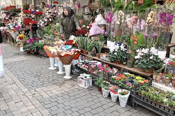 Bursa Kan Bağışı Merkezi - Resim 5