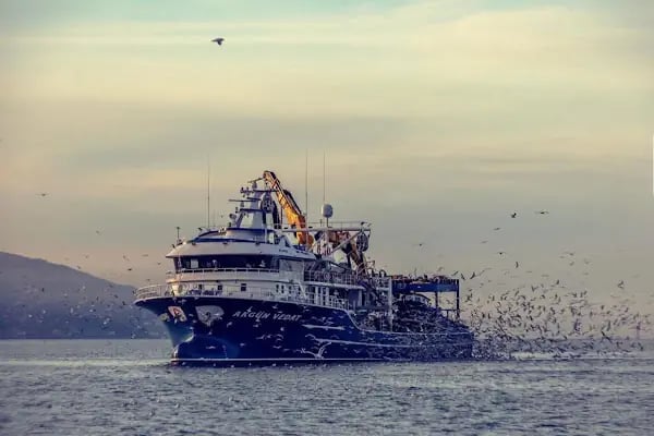 B&amp;İ Mimarlık - Resim 6