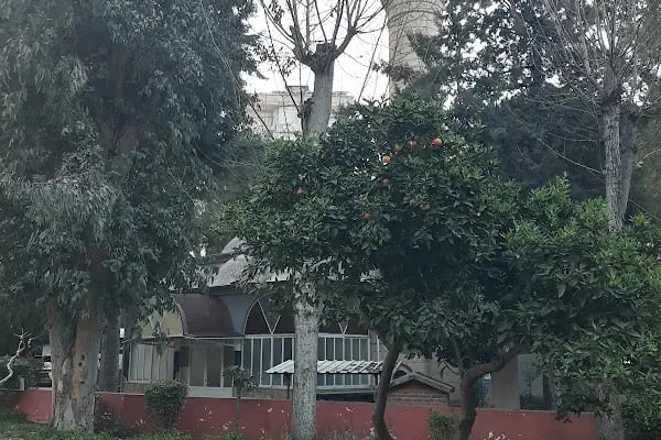 Güllü Çocuk Parkı - Resim 15