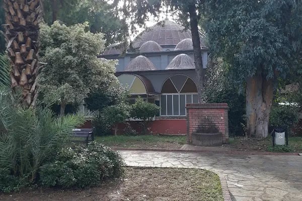 Güllü Çocuk Parkı - Resim 13