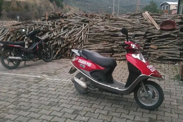 Cihangir Pide Ve Simit Sarayı - Resim 15
