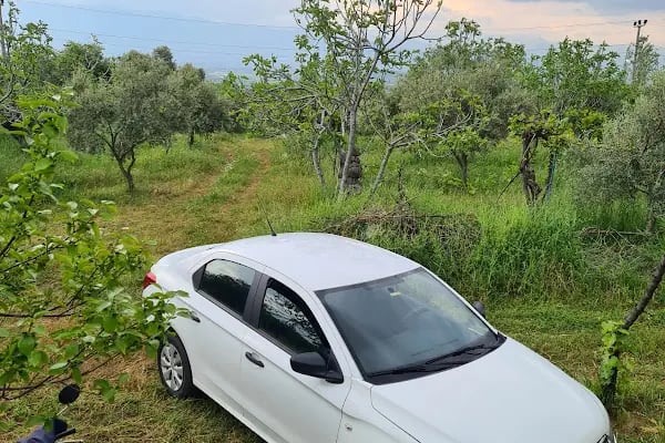 İzmir Rent Car İzmir Havalimanı Araç Kiralama - Resim 12