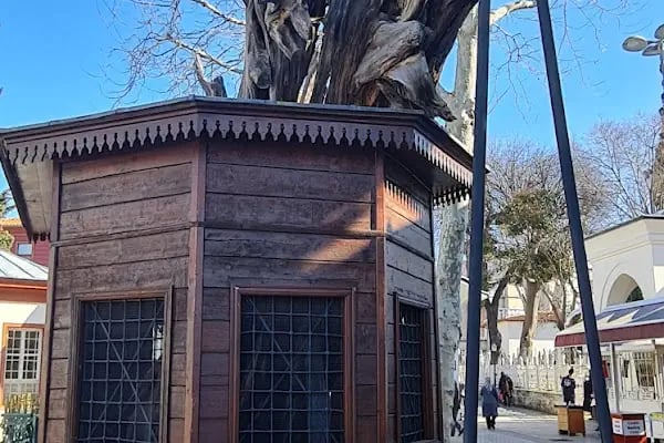 Çifte Sultanlar Türbesi - Resim 5