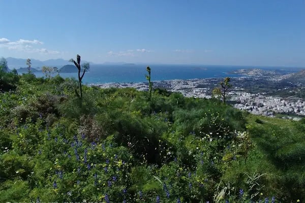 Turgutreis Rehberi - Resim 14