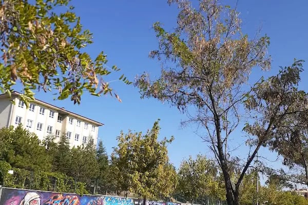 ŞEHİT OĞUZHAN YAŞAR ANADOLU LİSESİ - Resim 7