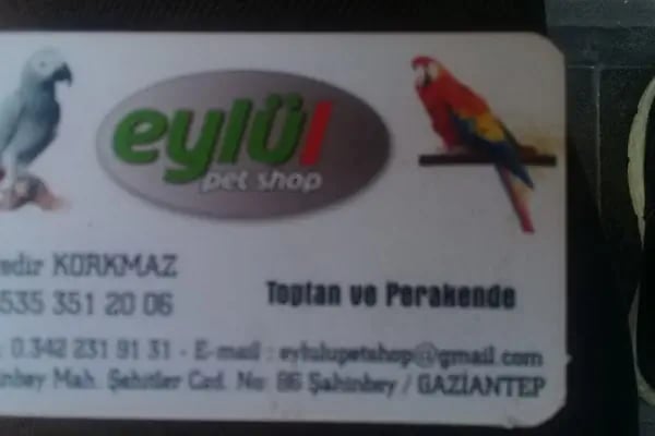 Eylül Pet Shop - Resim 9