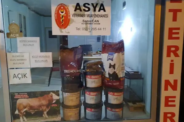 Asya veteriner kliniği - Resim 15