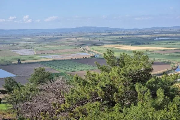 Priene Athena Tapınağı - Resim 9